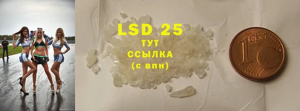 ГАЛЛЮЦИНОГЕННЫЕ ГРИБЫ Покров