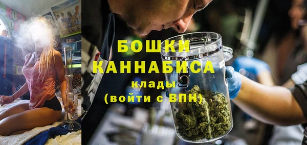 ГАЛЛЮЦИНОГЕННЫЕ ГРИБЫ Покров