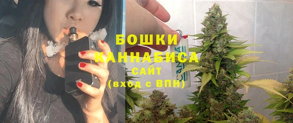 ГАЛЛЮЦИНОГЕННЫЕ ГРИБЫ Покров