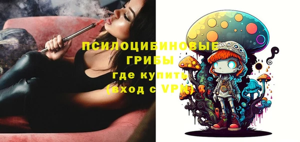мет Ивангород