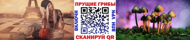 KRAKEN онион закладка Светогорск Псилоцибиновые грибы ЛСД